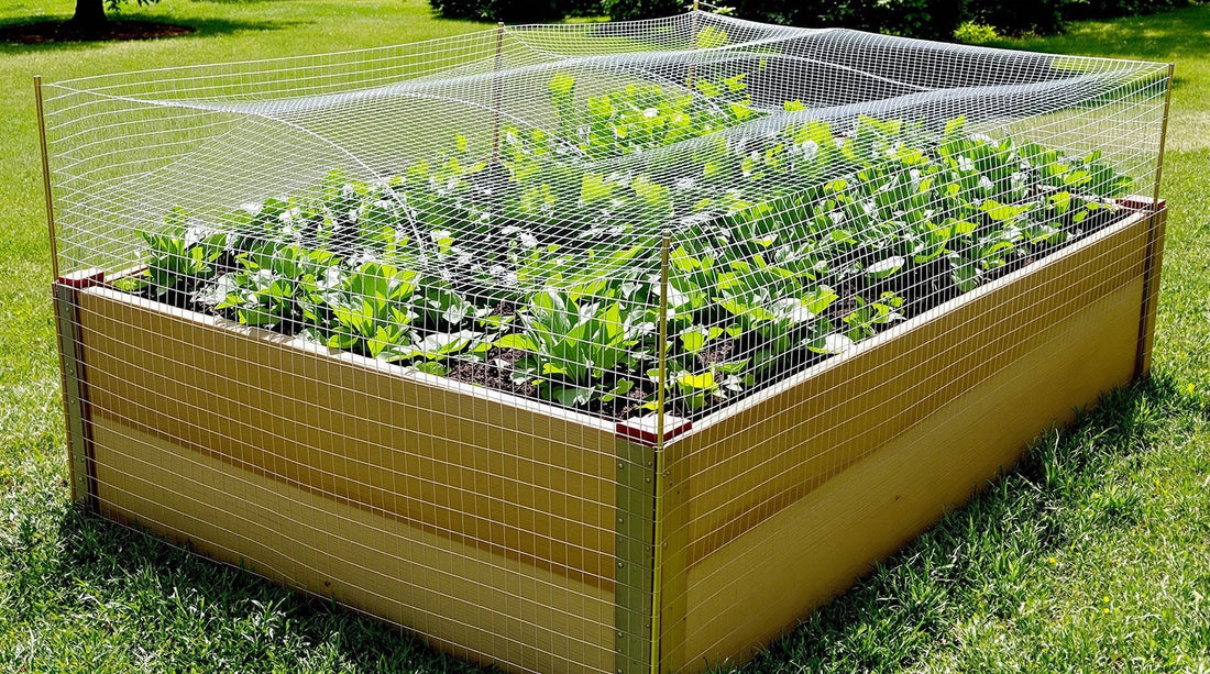 Welches drahtgitter für hochbeet: welche maschenweite wirklich schützt und lange hält