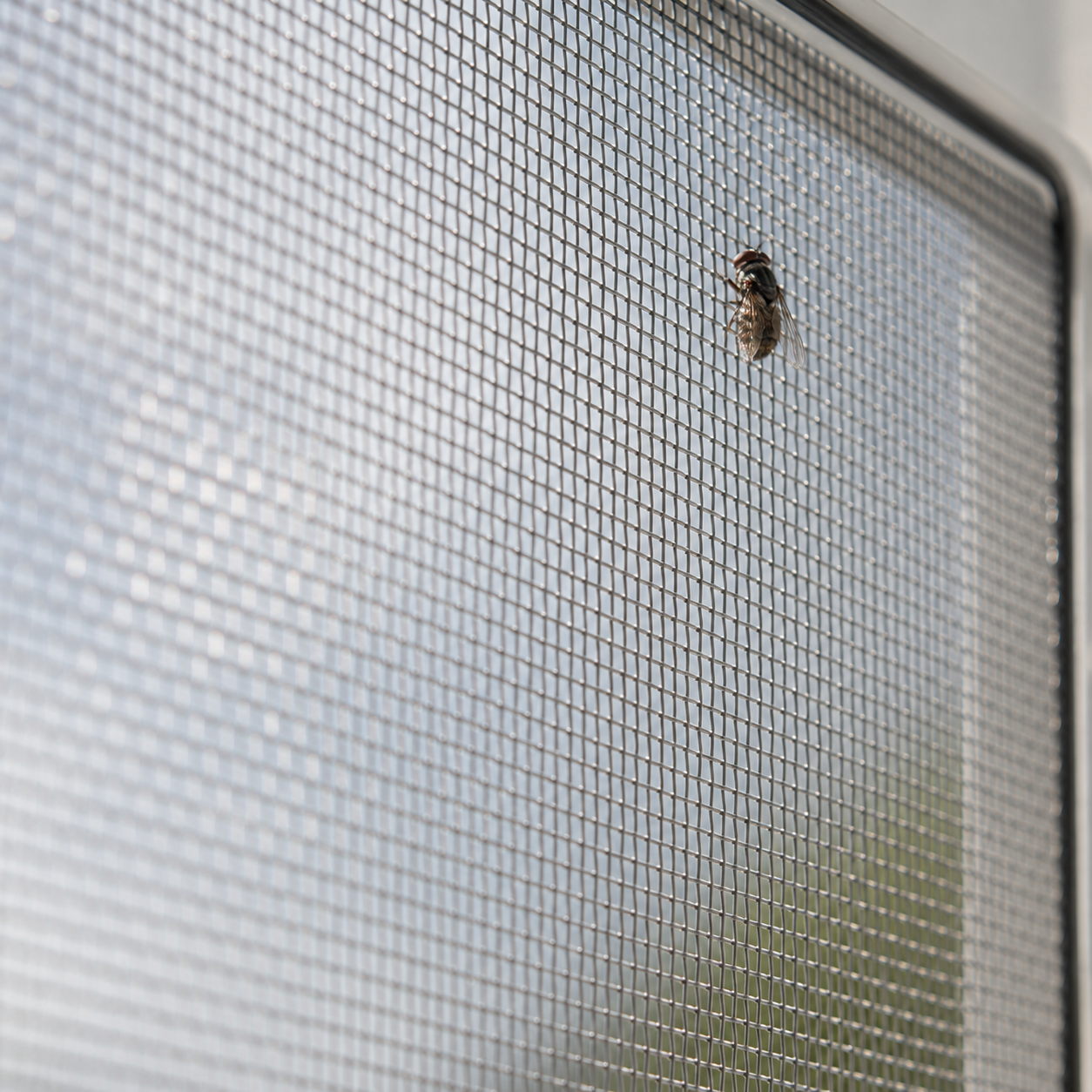 Insektenschutz Gitter, Edelstahl, Verzinkt